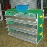 Kako napraviti kavez za prepelice vlastitim rukama - dimenzije